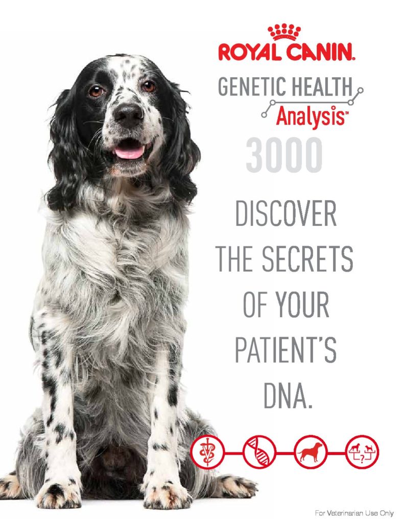 do vets do dna testing on dogs